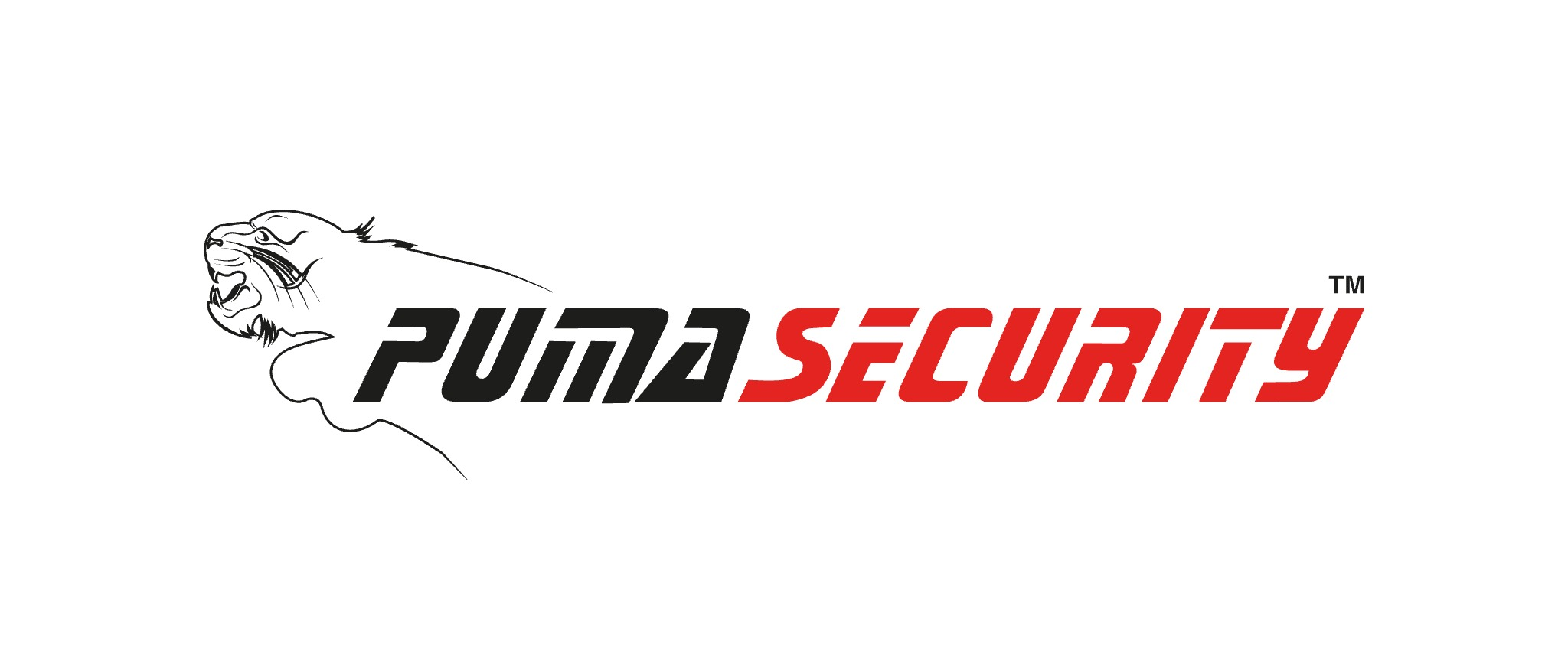 Catalogo Puma Security