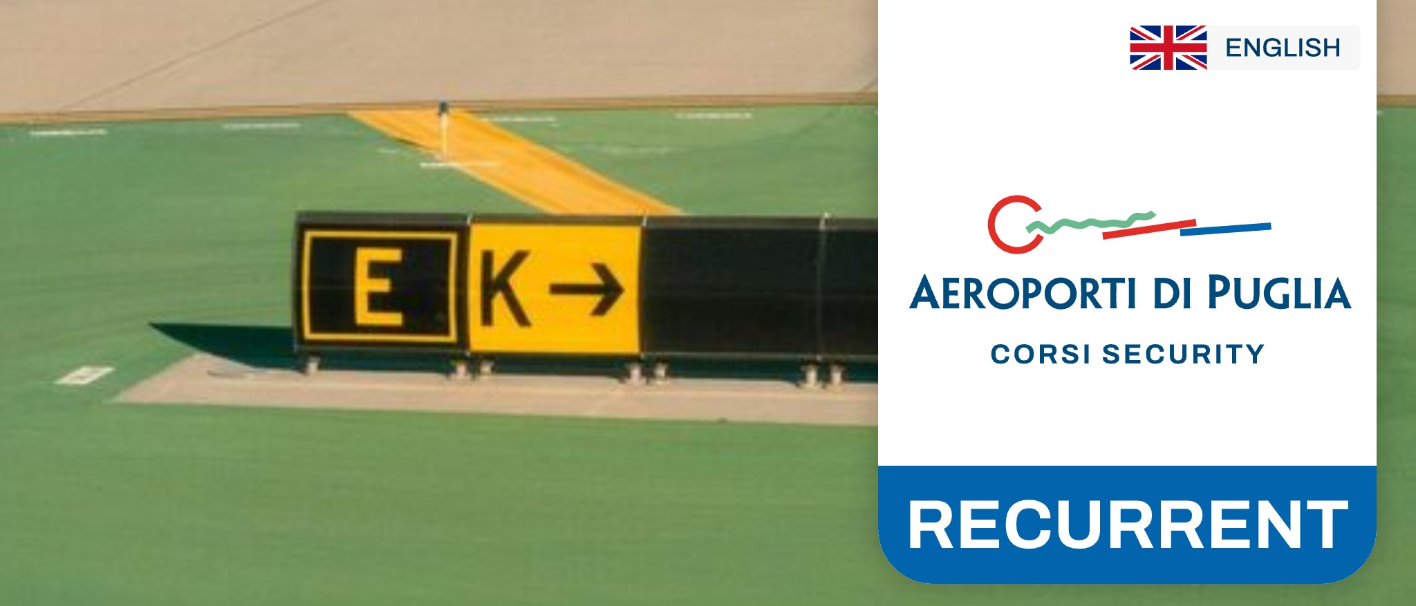 Cat A14 - Yellow Band